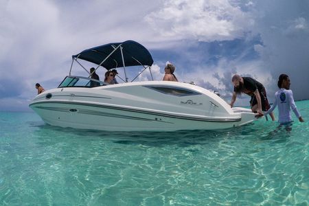 Small Group VIP Stingray City & Snorkel Encounter with Snacks