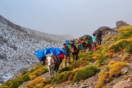Trekking in High Atlas Mountains 4 days