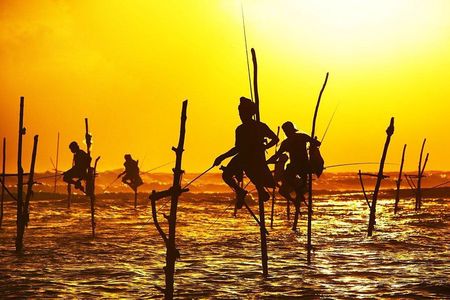 7 Night in Sri Lanka Heritage Private Tour