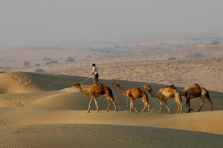 2 Days-1 Night Camel Tour
