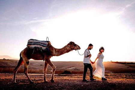 Marrakech: Agafay desert, Magical dinner & sunset and camel ride