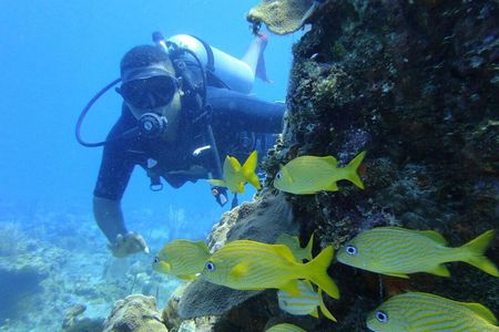 DIVING | Coral Reef | Caribbean Adventure | Punta Cana
