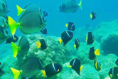 Visit paradisiac Islands in La Paz