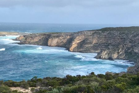 Kangaroo Island Scenic Nature and Wildlife Day Tour 