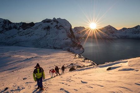 Tromso Snowshoeing - Valley, Fjord Views, Wildlife, Meal & Pickup