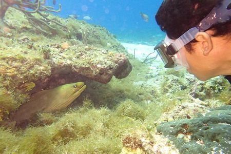 Cozumel Snorkeling Tour at Palancar & Colombia Reefs and El Cielo
