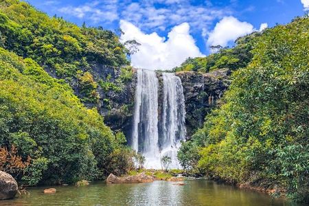 Tamarind Falls/7 Cascades Half day Trek 