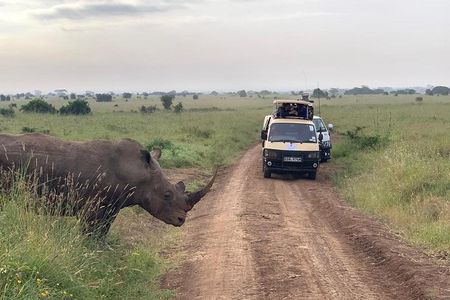 Nairobi National Park,Baby Elephant Orphanage&Giraffe Center Tour