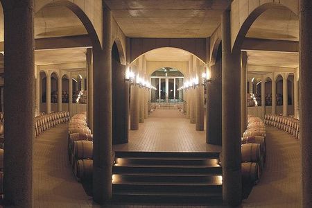 Maipo Valley Experience 