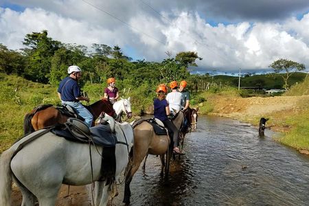 Horseback Riding Tour