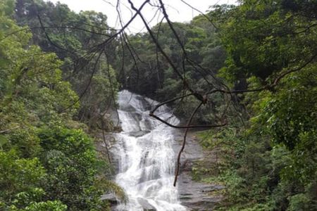 Top Tijuca Forest Private Tour with Botanical Garden
