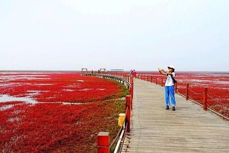 All-Inclusive Private Day Tour to Red Beach in Panjin City