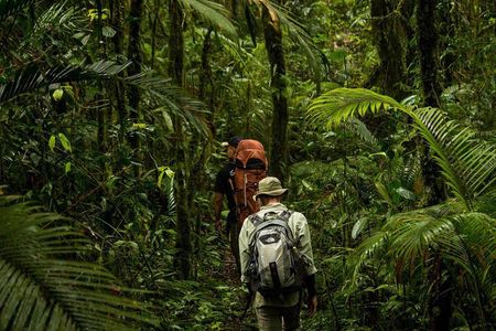 Sulawesi Tangkoko National Park Private Tour