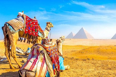 Tour to Pyramids & The Grand Egyptian Museum