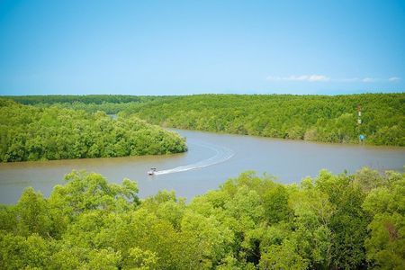 Private Can Gio Mangrove Eco Tour – Boat & Wildlife