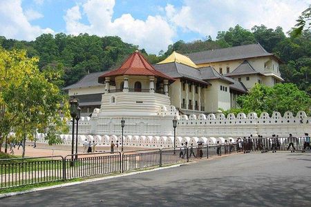 Kandy Private Day Tour Ahungalla/Kosgoda/Bentota/Beruwala/Kaluthara