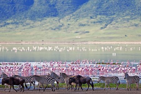 Ngorongoro Crater -Best safari