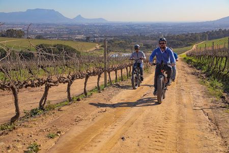 E-Bike Winelands Tour