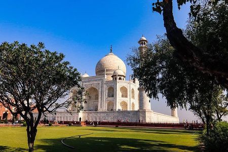 Taj Mahal Day Trip from Delhi Ending in Jaipur