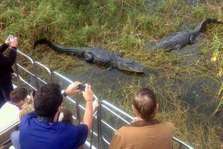 Airboat Tour