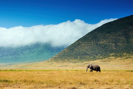 3 Days Amazing Tanzania Safari