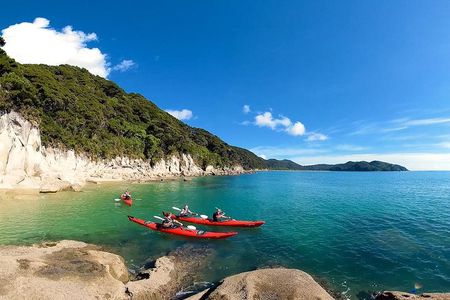 Oarsome Marine Reserve Kayak Tour