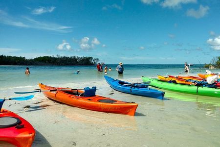 Kayak Adventure of Shell Key Preserve & Island with a Local