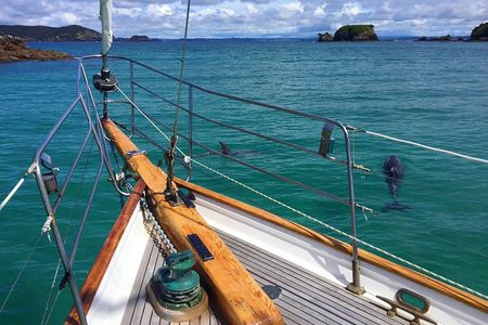 Private Charter Bay of Islands