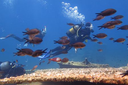 Try Scuba Diving in Amorgos