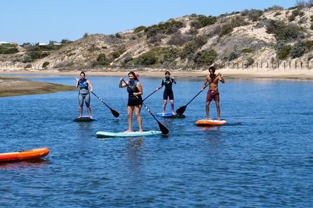 Coast to Vines: E-bike*, Paddle Board and Wine Tour (2 options)