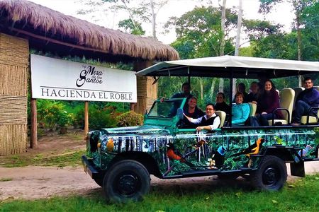 Private Tour - Coffee Tour (Cultivations) 