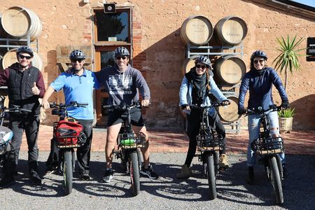 Best of McLaren Vale: E-bike and Wine Tour (2 options available)