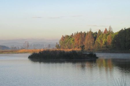 Birdwatching & Nature Day. Florida Wetland, El Tabacal Lagoon & Enchanted Garden