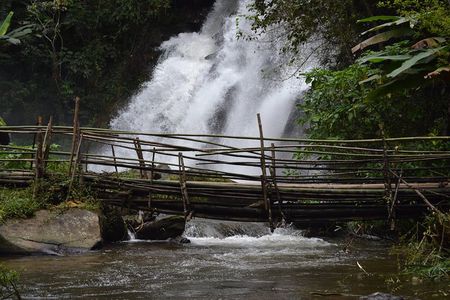 Doi Inthanon Day tour