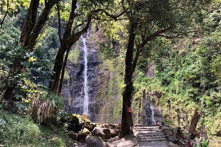 Tahiti: Full Day Tour of the Island