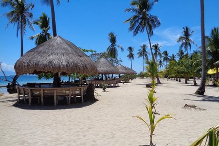 Private Puerto Princesa island tour: Shore excursion