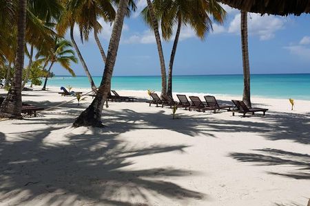 Saona Island small group and relax - luxury catamaran