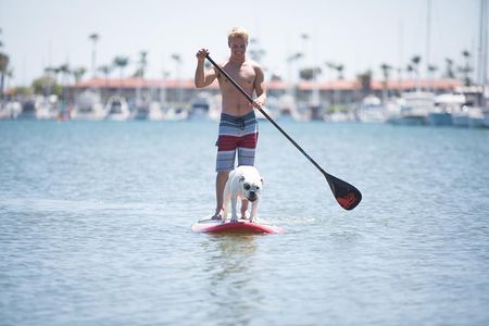 Paddle Board Rental