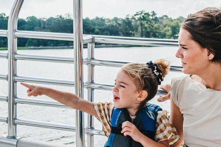 90-Minute Dolphin and Nature Tour of Hilton Head