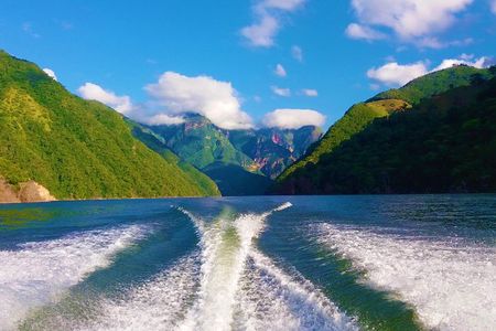 Private Tour - Boat Ride Topocoro Lake (Nature)