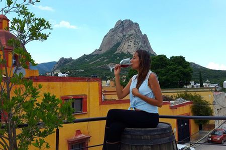 Cheese and Wine Route with 2 Towns, starting from Querétaro