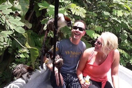 Monkeys Discovery