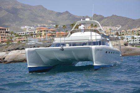 Whale Watching Catamaran Cruise with Transfer, Buffet by MC