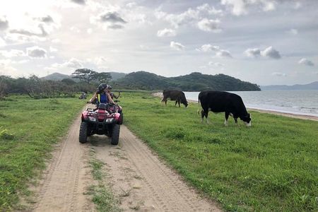 ATV Beach Tour