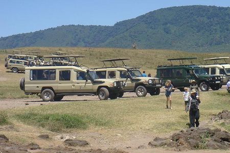 3-Day Taste of Tanzania Safari (Tarangire National park and Ngorongoro Crater) 
