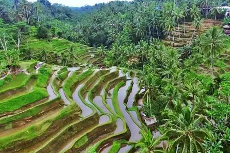 2 Days Experience Bali: Most Popular Tour