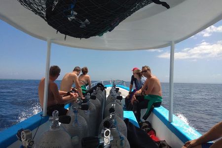 Menjangan island snorkeling full day boat trip 