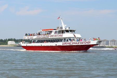 Dinner Cruise with Dolphin Watching from Cape May