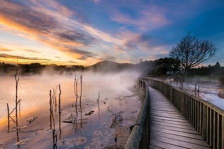 6.5 hour Small-Group Rotorua Naturally Shore Excursion - Tauranga