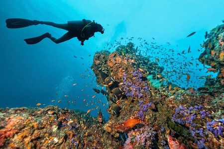 Diving in Hurghada